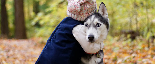 Why don’t dogs like hugs?