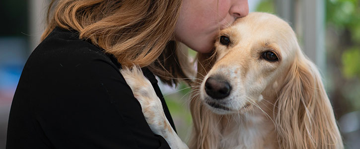 Do dogs like kisses? - GudFur Ltd