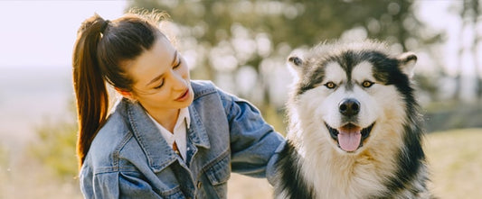 GudFur Blog What to consider before getting a dog